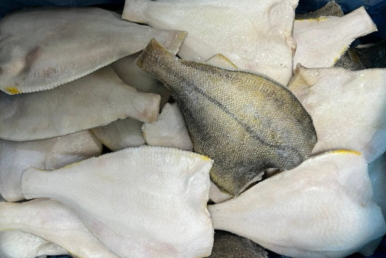 손질가자미(200/300) - 러시아(4.5kg) 1BOX