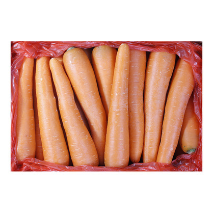 세척당근(수입산) 1BOX (10kg)