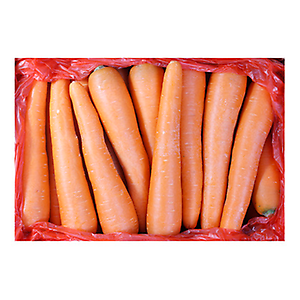 세척당근(수입산) 1BOX (10kg)