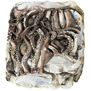 무라(대왕)오징어 단족 20kg (페루)