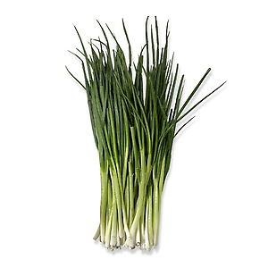 깐쪽파 1단 (500g, 국내산)