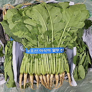 열무(단) 2kg (국내산)