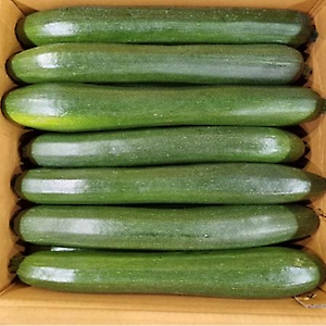 쥬키니호박 10kg (20개 내외, 국내산)