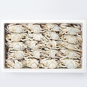 꽃게(암) - 소(10kg) 국내산