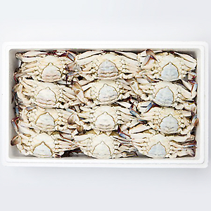 꽃게(암) - 대(10kg) 국내산