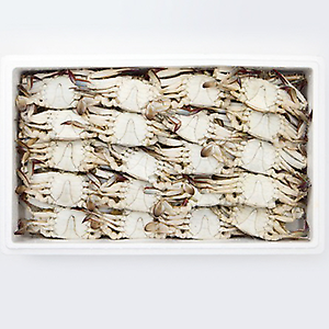 꽃게(숫) - 소(10kg) 국내산